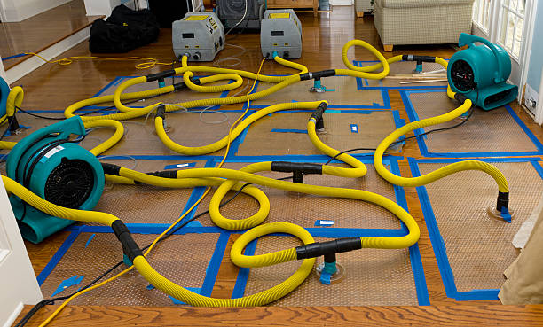 Professional Structural Drying And Dehumidification technician working in Dimmitt, TX